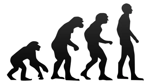An illustration of evolution with a branching natural-history motif