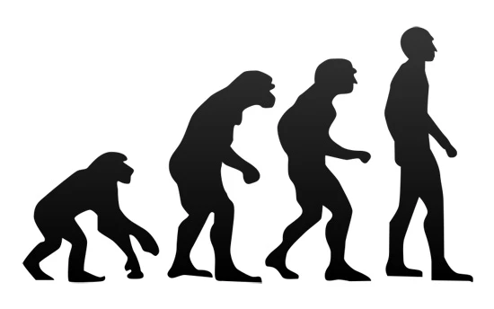 An illustration of evolution with a branching natural-history motif