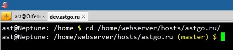 Git branch in command line