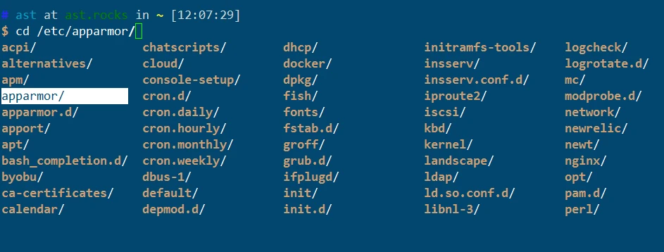 A terminal window with a customized zsh prompt and directory completion