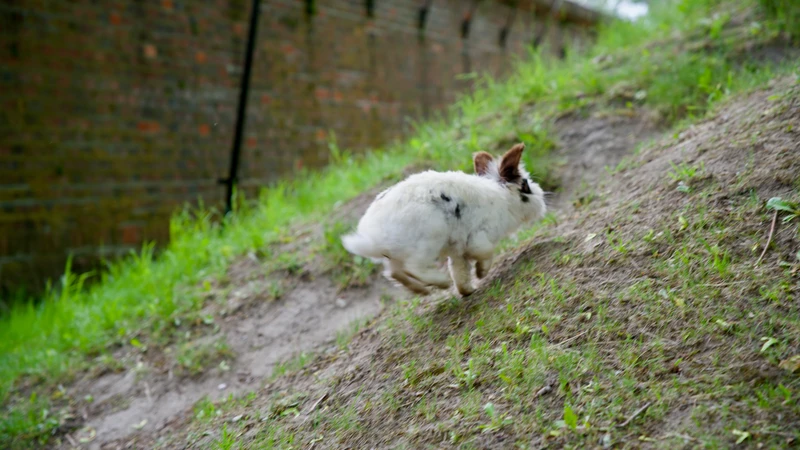 Smarter Lazyloading for Ads