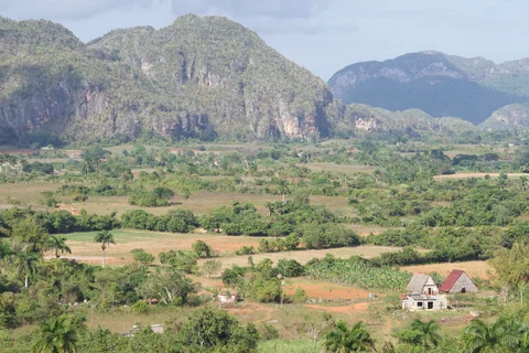 Fields, palms and farm buildings beneath the steep hills of the Viñales valley