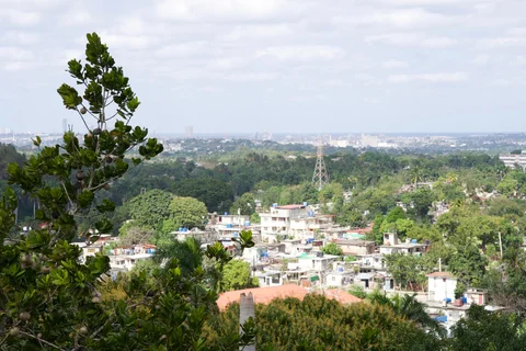 A view across green trees and low-rise houses towards distant Havana
