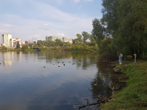 Trees shade a lake shore, with apartment buildings across the water.