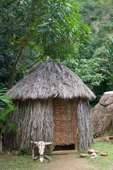 A thatched hut among dense greenery, with a patterned doorway hanging and a painted animal skull outside