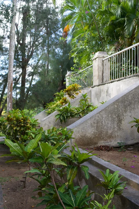 Stone steps and a white railing surrounded by trees and plants at Finca Vigía