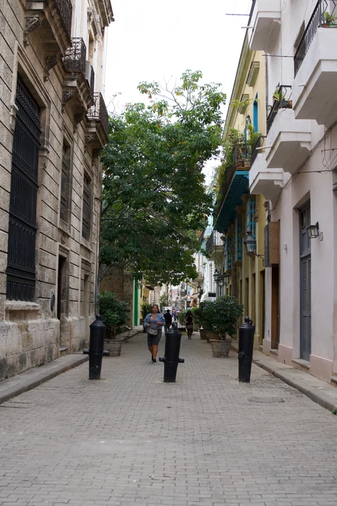 Pedestrians on a narrow Havana street with leafy trees and cannon-shaped bollards