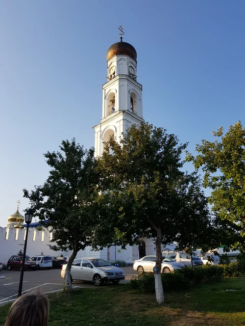 A white bell tower rises behind a leafy tree above a street with parked cars.