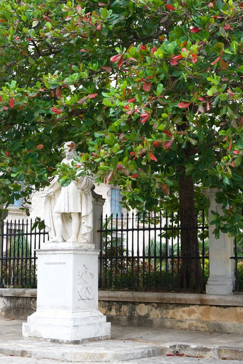 A white stone statue partly hidden by green and red leaves, with an iron fence behind it