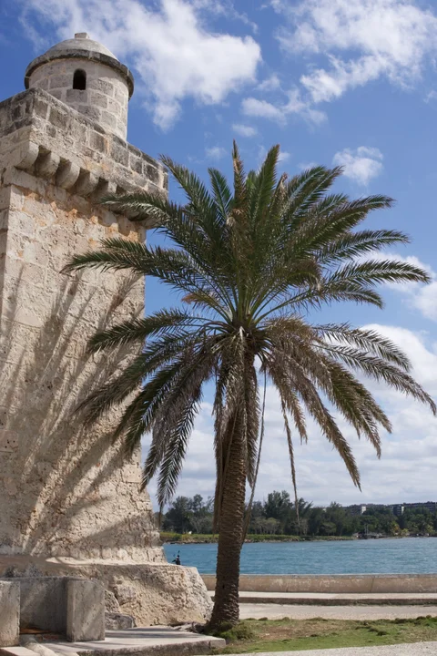 A tall palm beside a corner turret of the Torreón de Cojímar