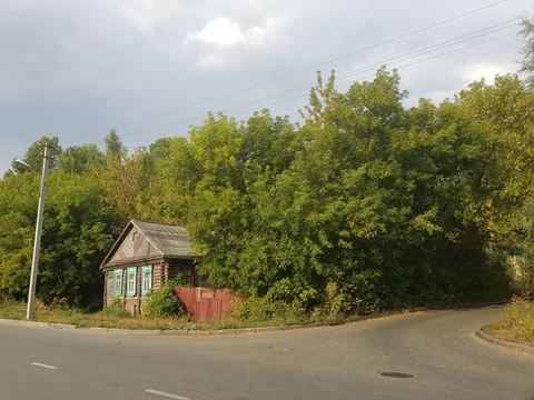A small wooden house with green window frames stands among dense trees.