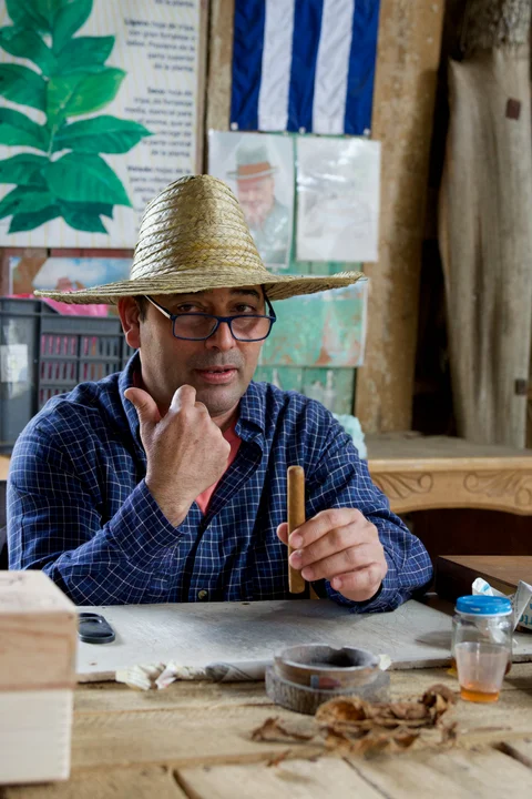 The cigar seller in a straw hat holding a cigar at a table covered with tobacco leaves